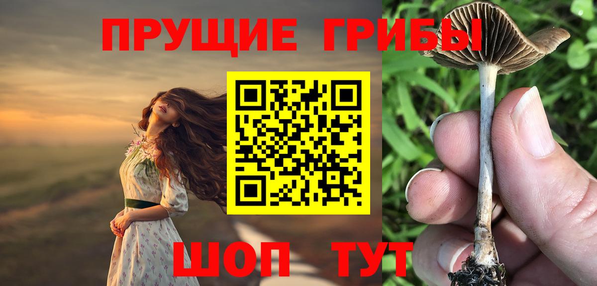 Псилоцибиновые грибы мицелий  Вход с VPN  Сегежа 